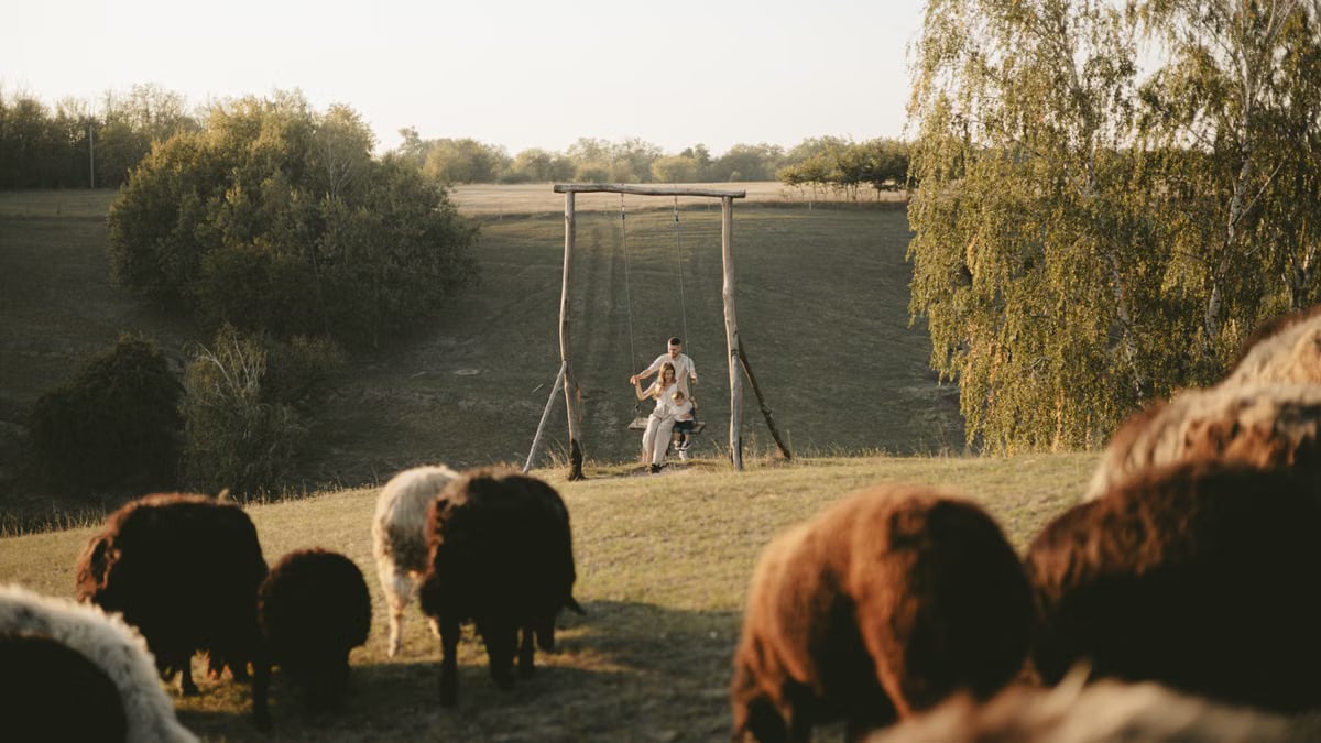 Couple enjoying a serene swing moment surrounded by grazing sheep in a lush pasture.